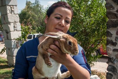Cría y venta de conejo, una opción de negocio