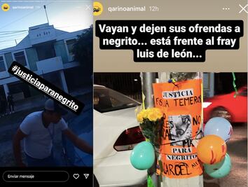 Video. Con altar, recuerdan a Negrito; al perrito criollo le quitaron la vida en Querétaro