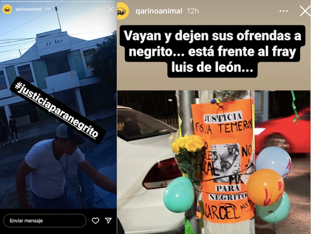 Video. Con altar, recuerdan a Negrito; al perrito criollo le quitaron la vida en Querétaro
