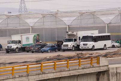 Sembradíos de Colón fueron vendidos para la industria