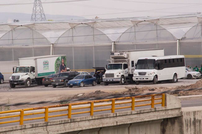Sembradíos de Colón fueron vendidos para la industria