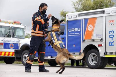 Binomios caninos dan “su pata” a la labor de rescate