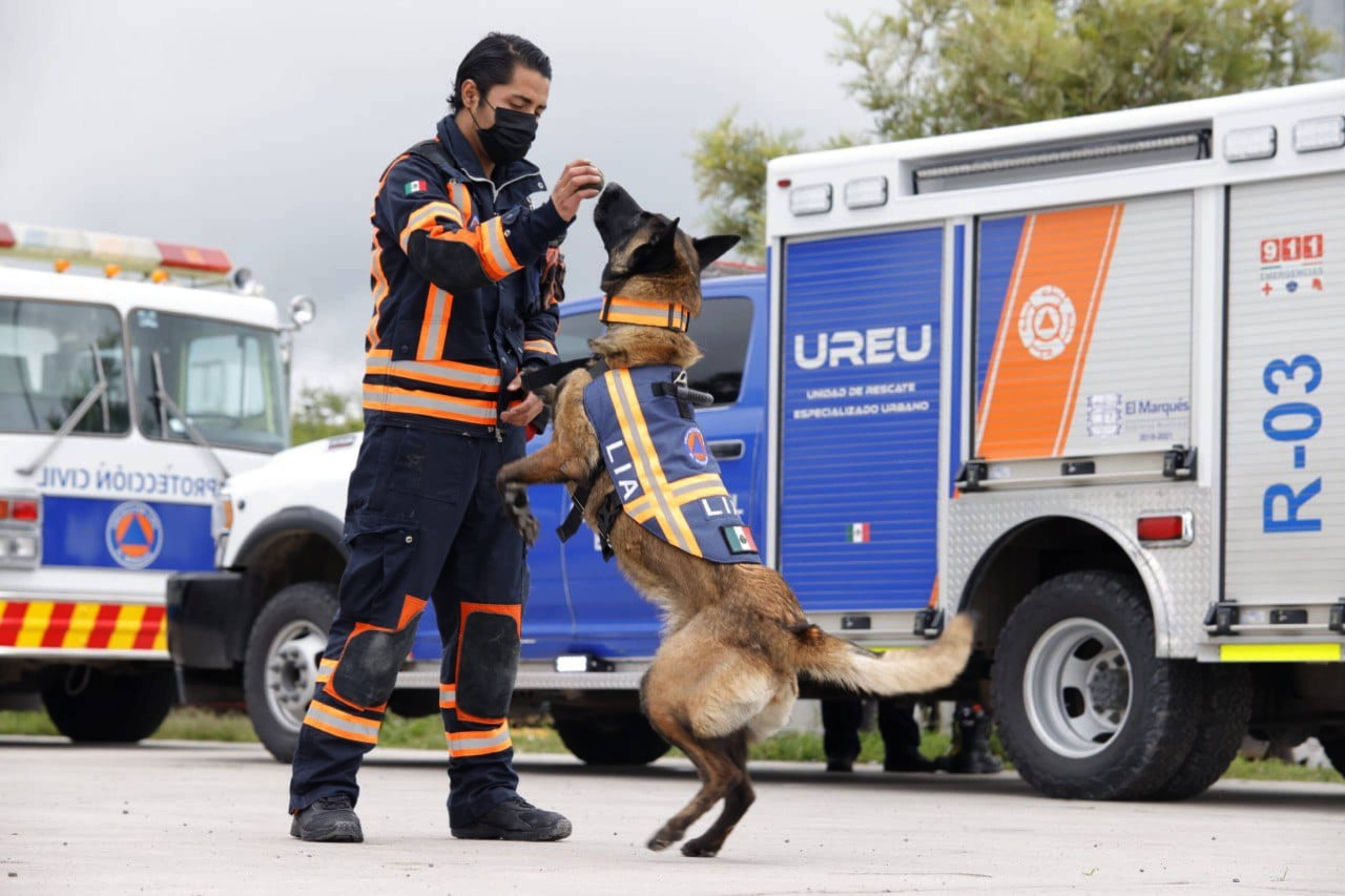 Binomios caninos dan “su pata” a la labor de rescate