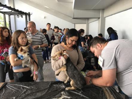 #Crónica| Esterilización Una mejor calidad de vida 