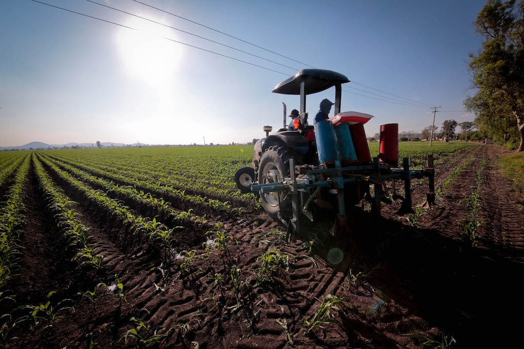 La economía de Querétaro creció 3.5%, reportan