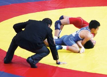 Destacan luchadores queretanos 