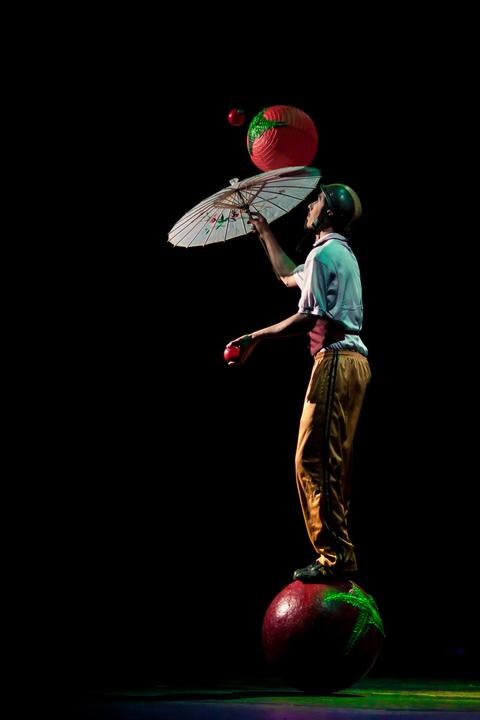 Clown, arte circense y más, en el Museo de Ciudad