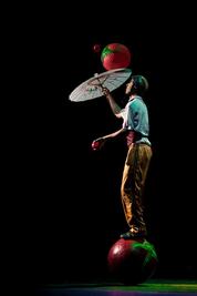 Clown, arte circense y más, en el Museo de Ciudad