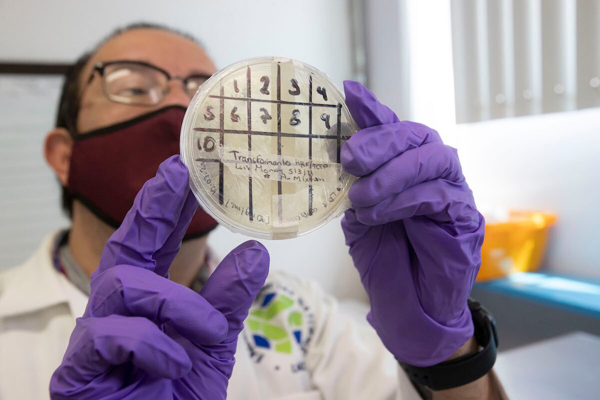 La vacuna contra el Covid-19 que desarrolla la UAQ podría aplicarse en niños