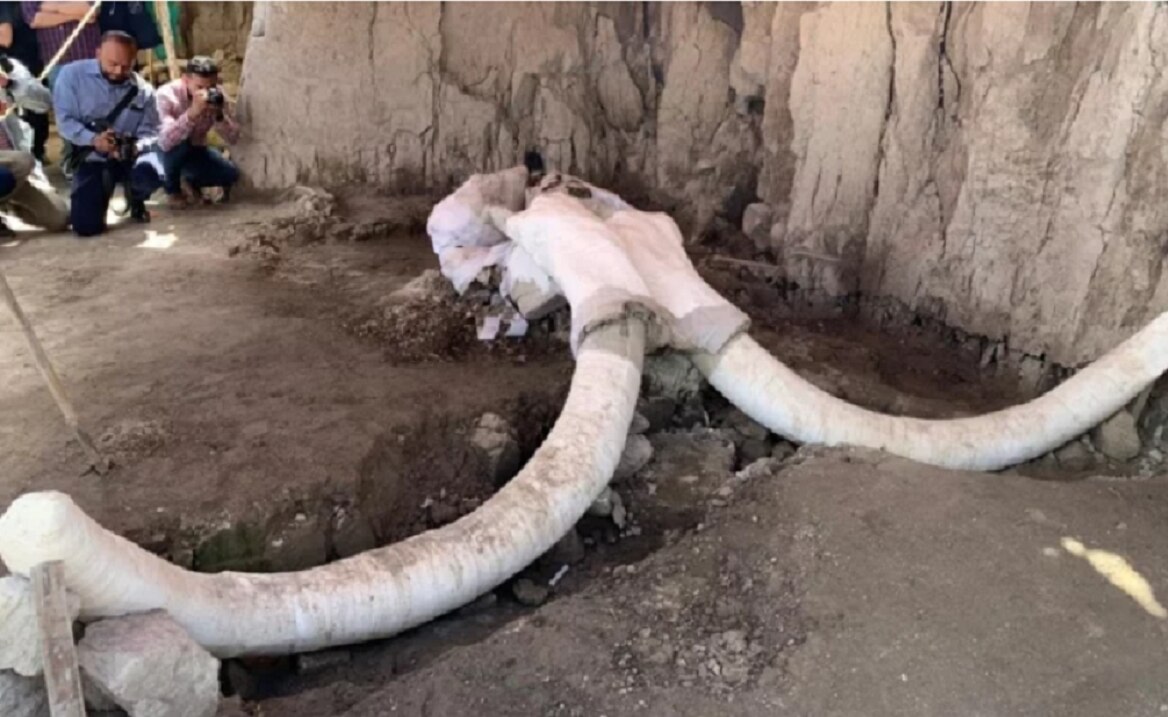 Encuentran en Tultepec primera trampa de mamut en el mundo