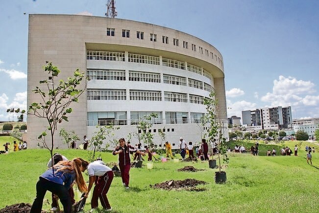 Firman convenio para plantar 150 mil árboles