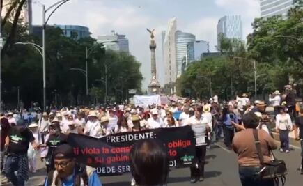 Marchan contra AMLO en Reforma