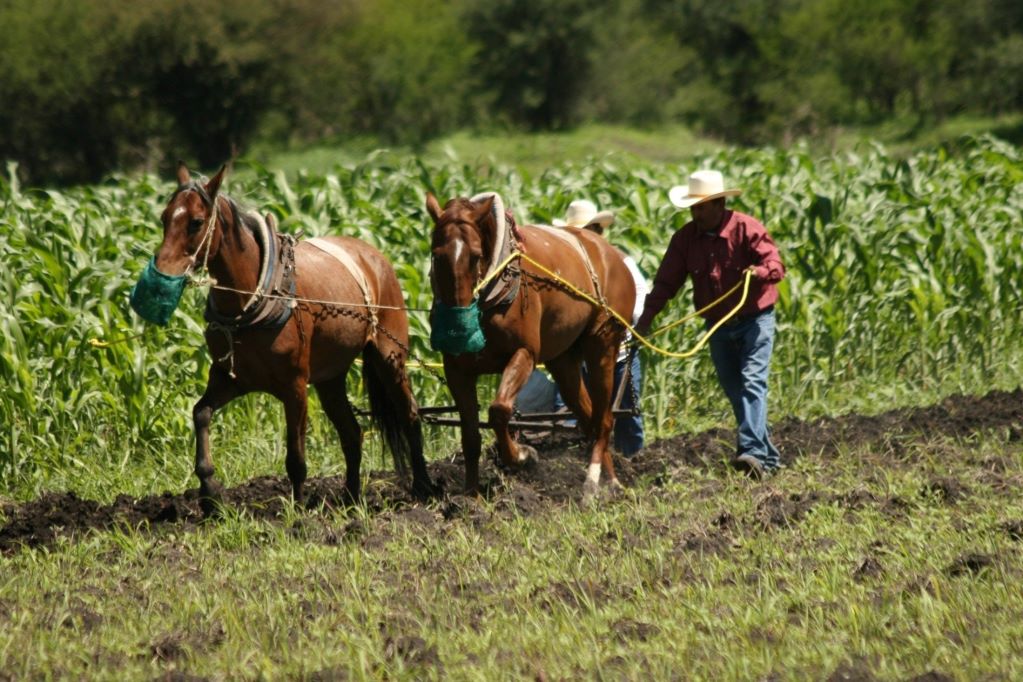 En Querétaro, sube la actividad económica 1.5% en el primer trimestre