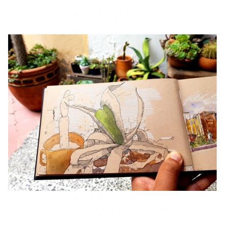 Urban Sketchers dibujan la pandemia