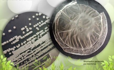 Desarrollan materiales médicos a partir de bioplásticos en la UNAM