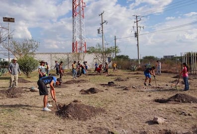 UAQ inicia su plan de reforestación 