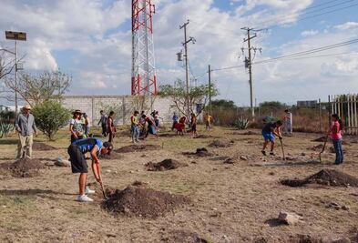 UAQ inicia su plan de reforestación