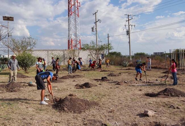 UAQ inicia su plan de reforestación