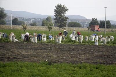 Proyectan tecnificación 