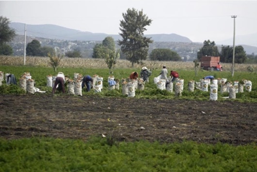 Proyectan tecnificación
