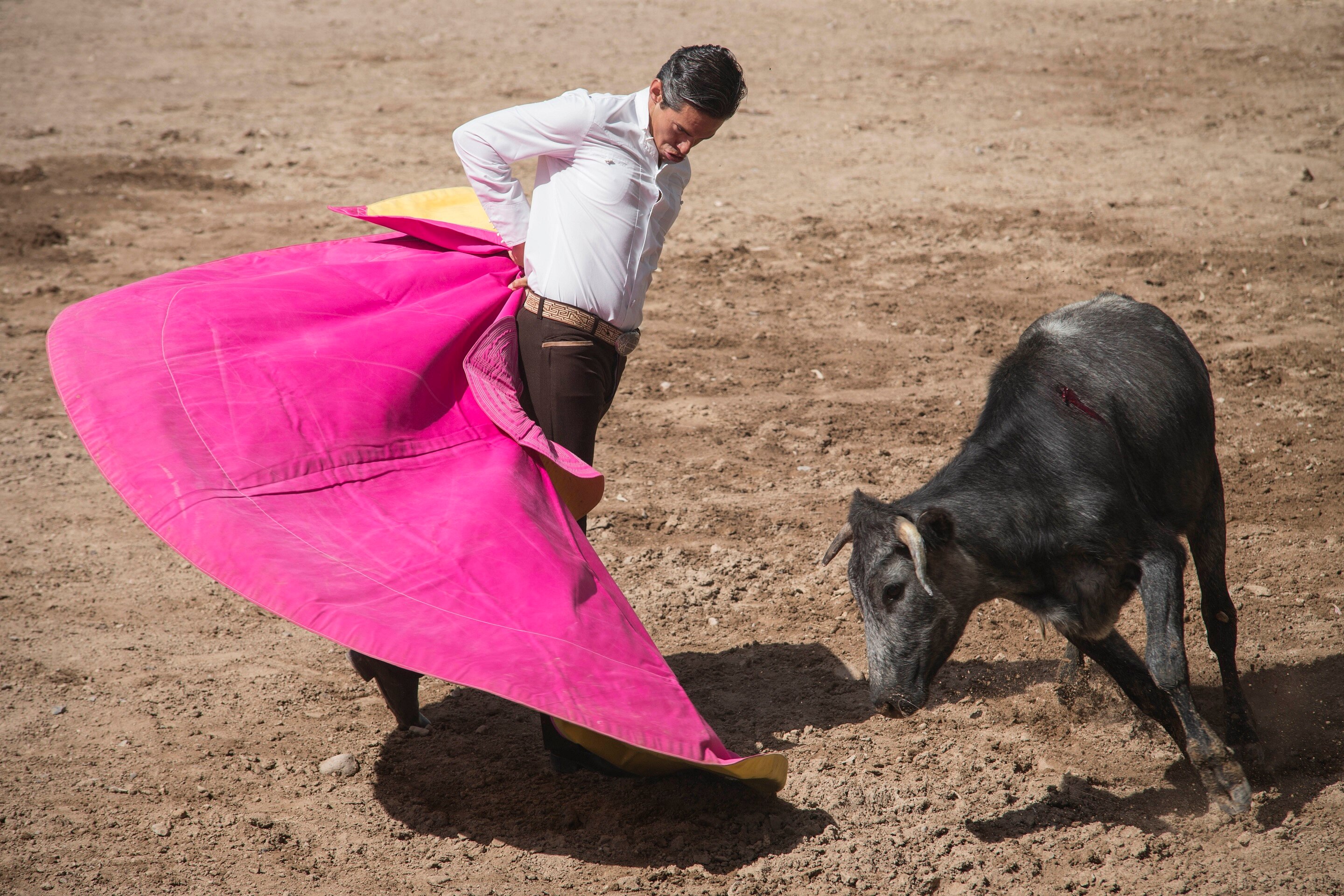 Olés por el Día del Abogado