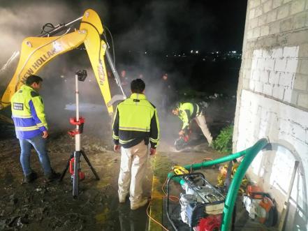 ¿Cómo terminó ahí? Caballo saca la cabeza de una coladera; lo rescatan en Querétaro