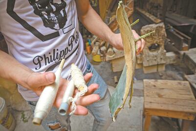 Nueva moda. Seda hecha con agave llega a la industria textil  