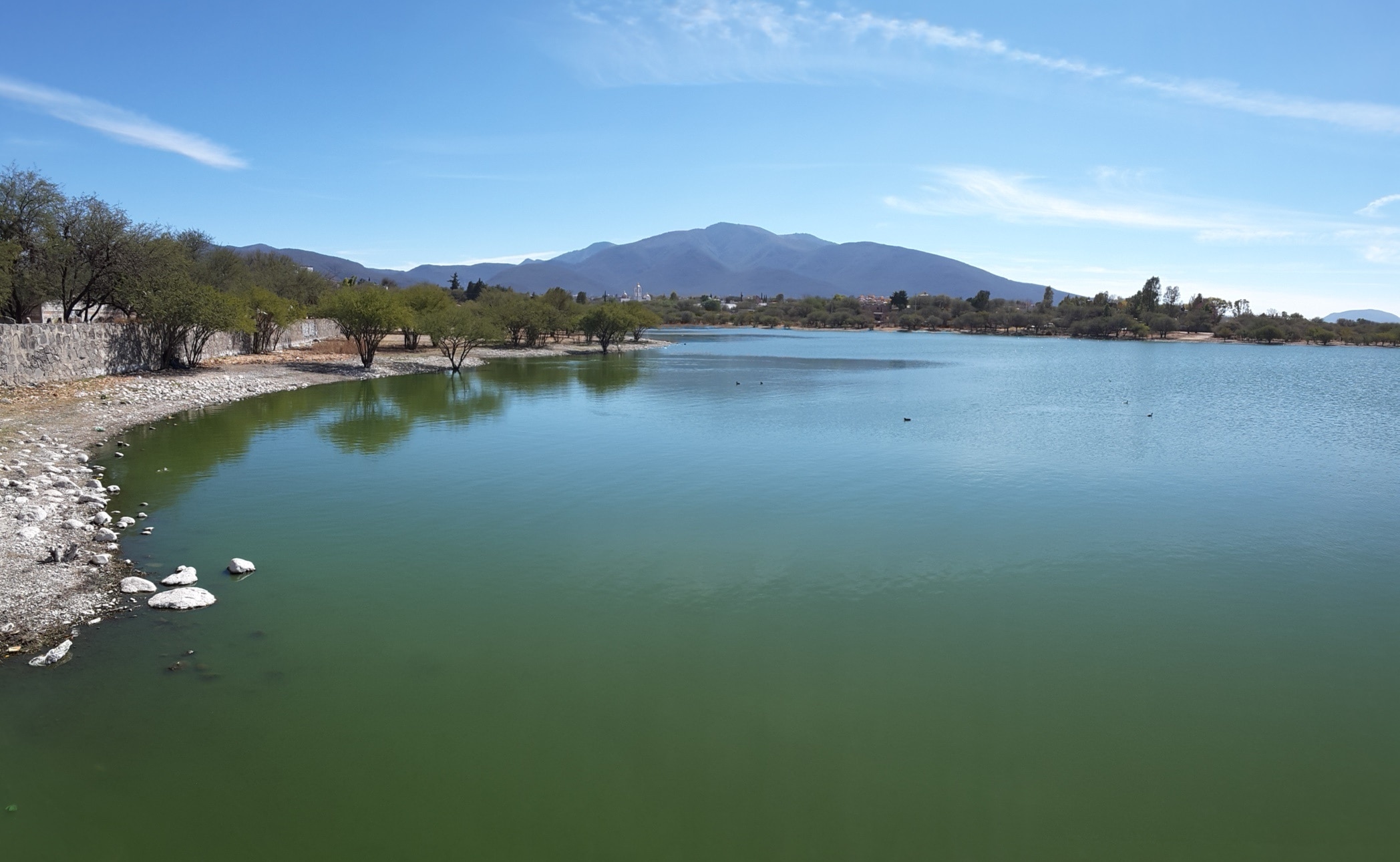 En el olvido la presa El Centenario, manto acuífero de bacterias