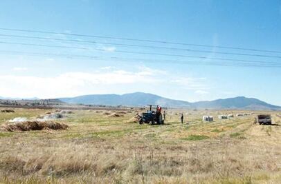 Buscan seguridad jurídica en campo