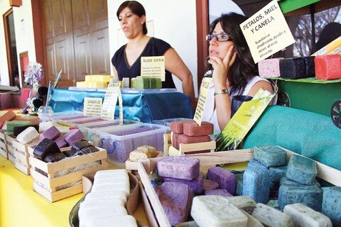 Impulsa Tequis las iniciativas de jóvenes