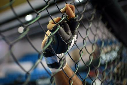 ¡Dale más! Una mirada a las Artes Marciales Mixtas