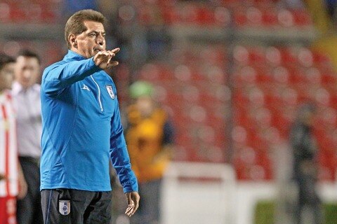 Gallos están dispuestos a cerrar