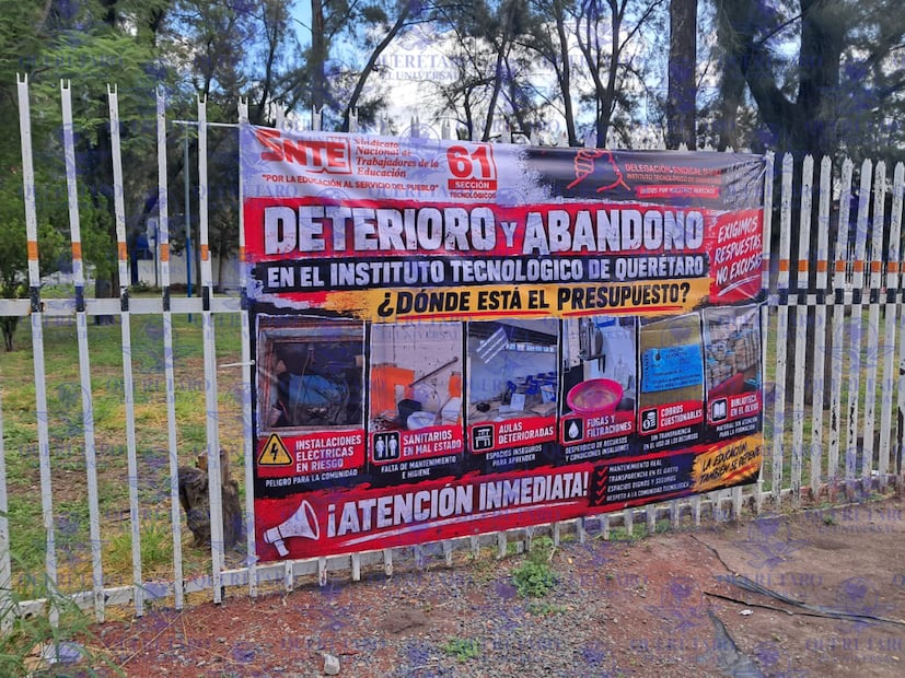 FOTO. VERÓNICA RUIZ