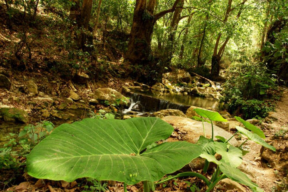 Foto: Archivo. El Universal