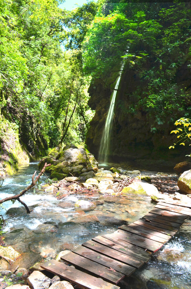 Fotos: Manuel García