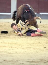 Fausto está en reposo luego de ser cornado