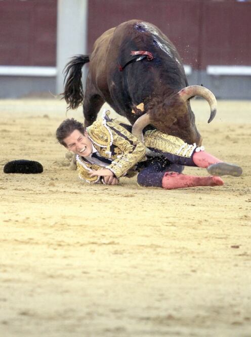 Fausto está en reposo luego de ser cornado