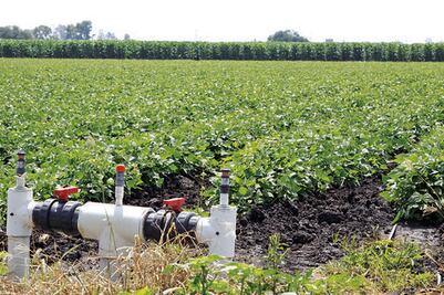Impulsan tecnificación de riego en el campo