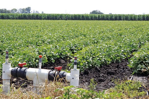 Impulsan tecnificación de riego en el campo