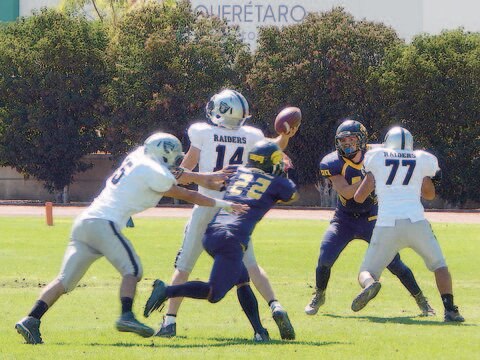 Gatos juveniles superan a Raiders