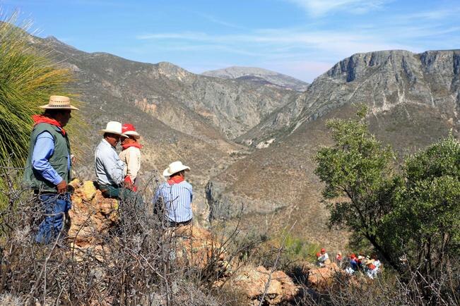 Inviable, la reforestación de Sierra Gorda: experta