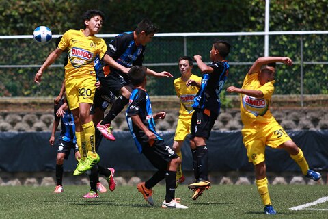 Gallitos, a octavos en Nacional Sub-13