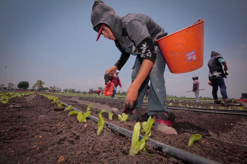 FOTO: Archivo El Universal