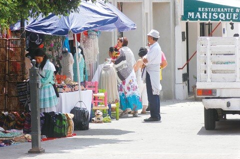 Profesionistas van a regulación