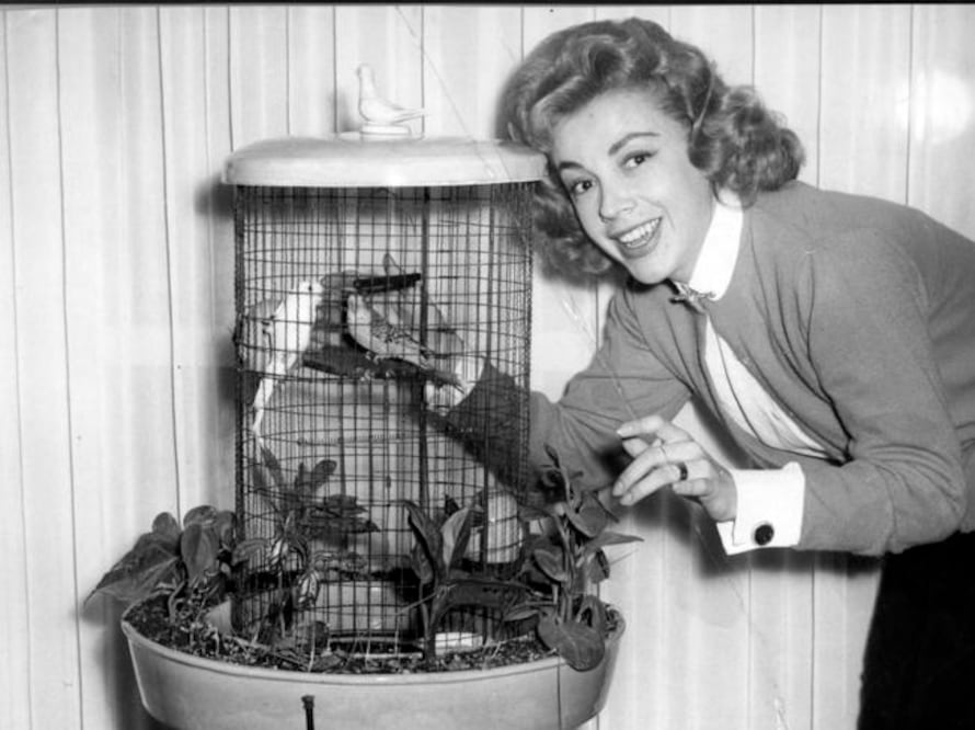 Foto: Archivo El Universal