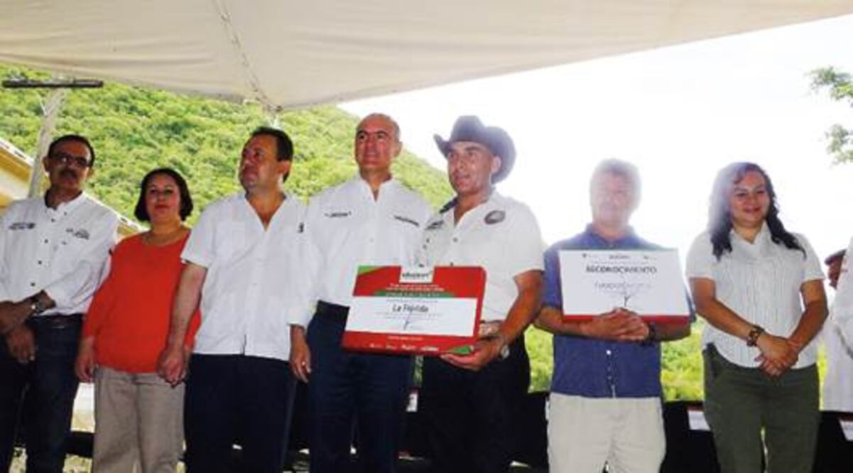 Llega el agua a Sierra Gorda