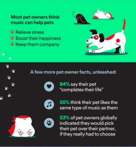Spotify lanza listas de reproducción para tu perro