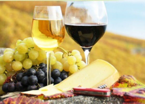 Feria del queso y el vino dejará 50 mdp