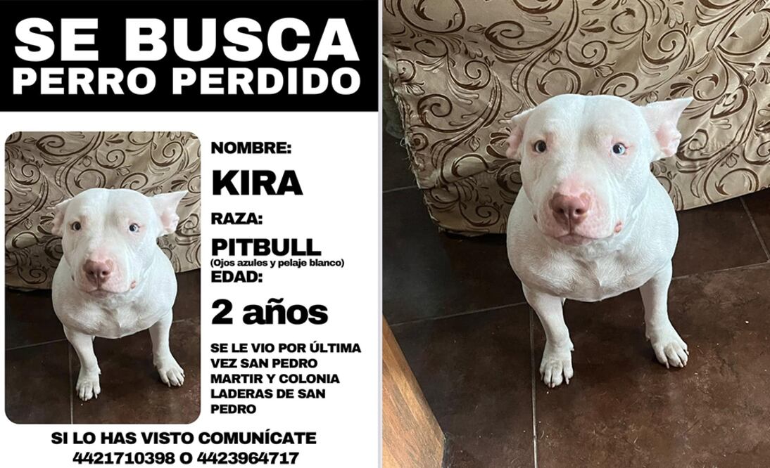 Foto: Captura de pantalla