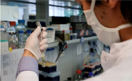 Coronavirus. En julio, prueba de vacuna contra Covid-19 en humanos